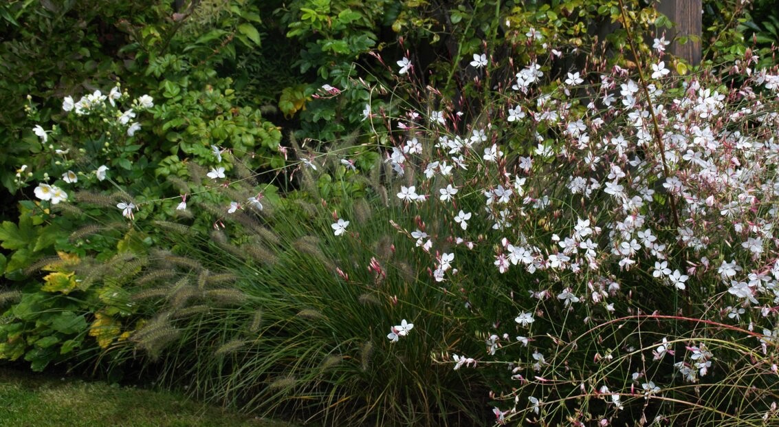 jardin_vivace_jardin_avec_vue_3