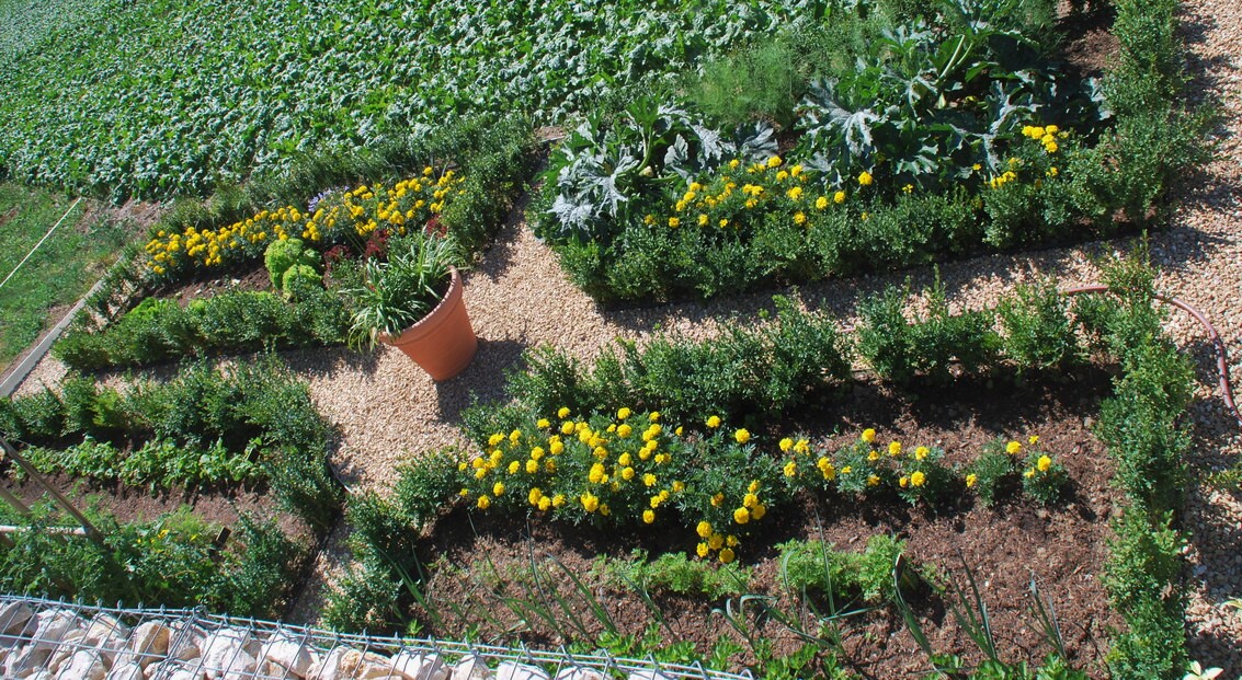 jardin_vivace_jardin_familial_3
